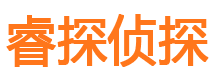 金东市侦探公司